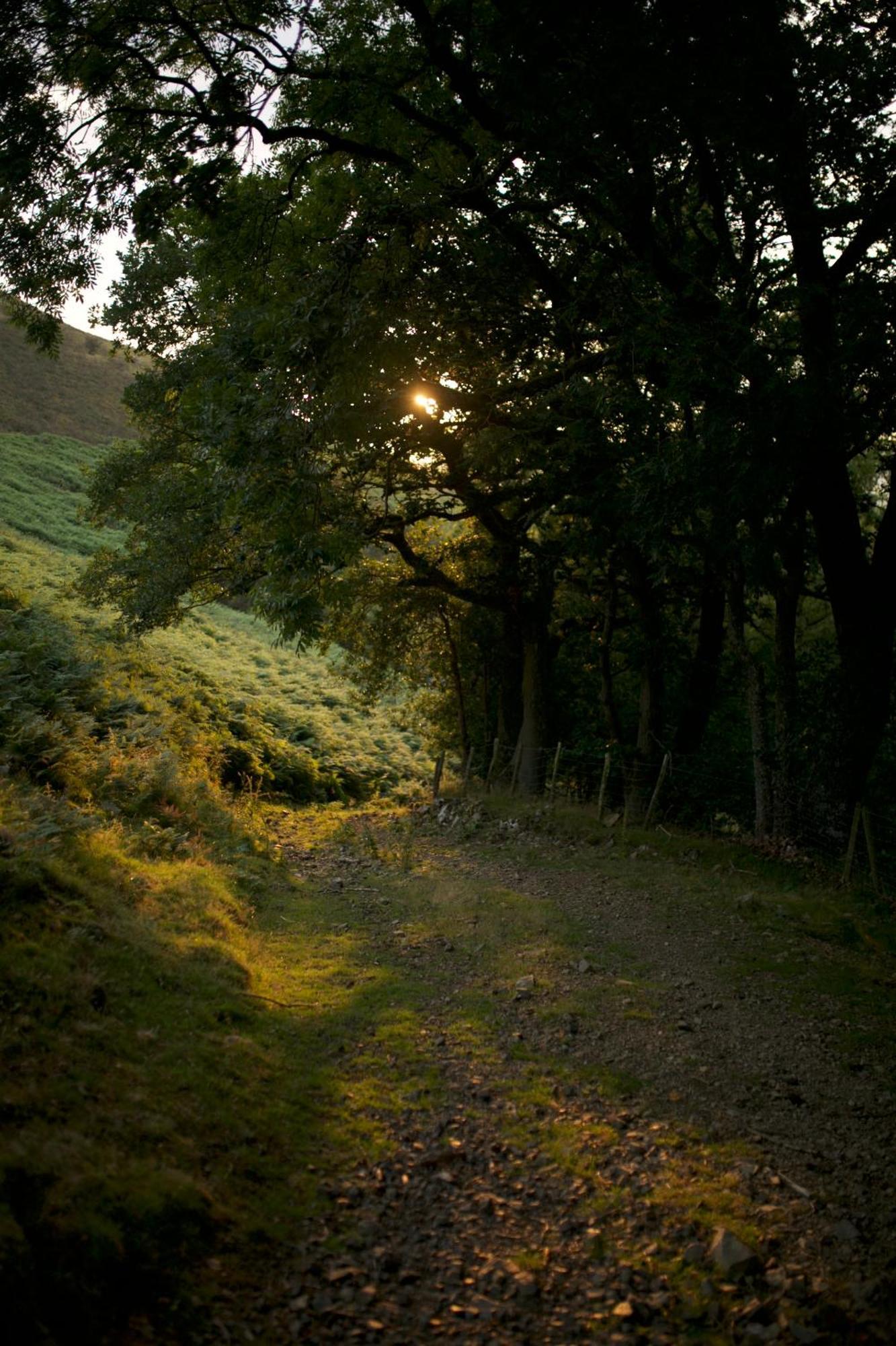 Two Unique Cabins Wrapped In Beautiful Welsh Scenery Presteigne Bagian luar foto