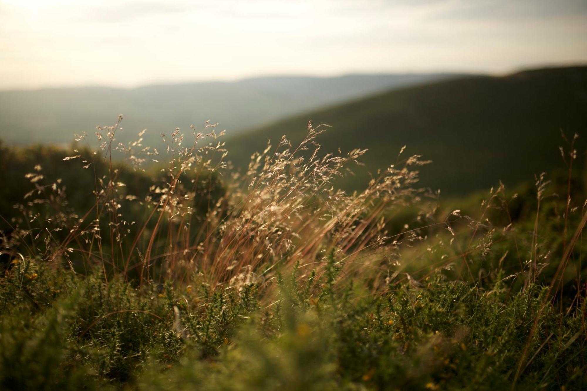 Two Unique Cabins Wrapped In Beautiful Welsh Scenery Presteigne Bagian luar foto