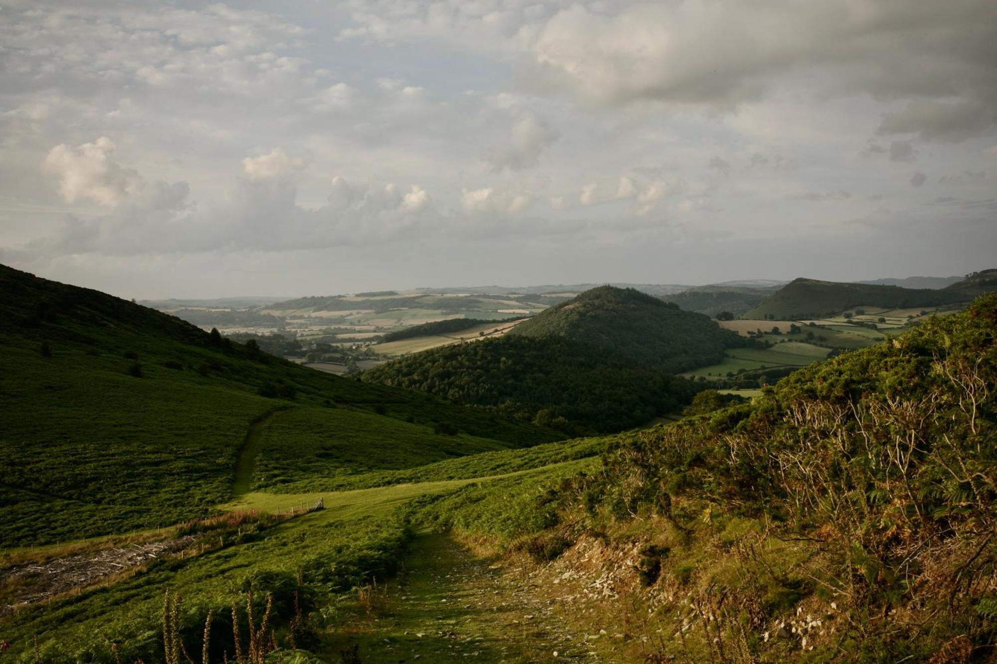 Two Unique Cabins Wrapped In Beautiful Welsh Scenery Presteigne Bagian luar foto
