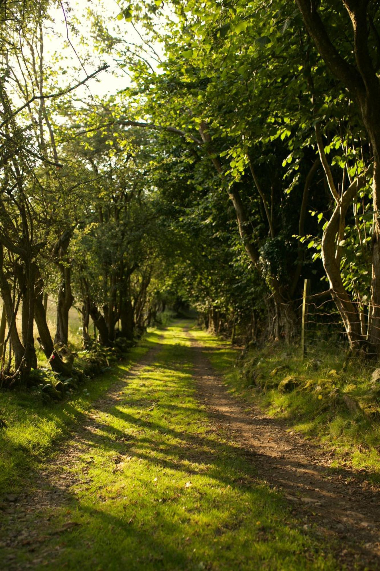 Two Unique Cabins Wrapped In Beautiful Welsh Scenery Presteigne Bagian luar foto